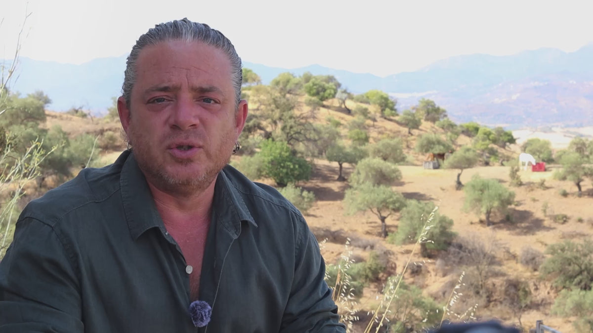 Simon on the team behind The Ridge and the different practices that shape the work.