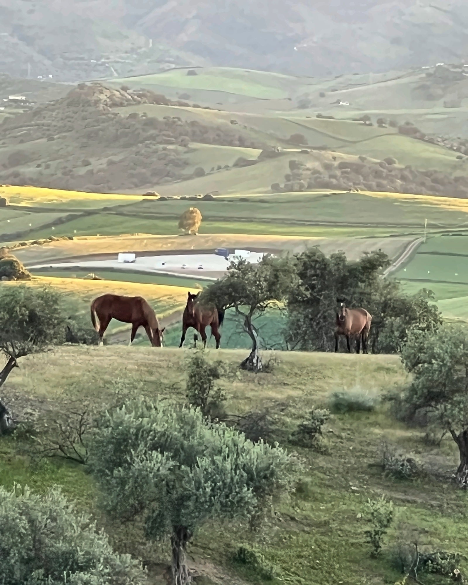 A private ridge, not a retreat centre.