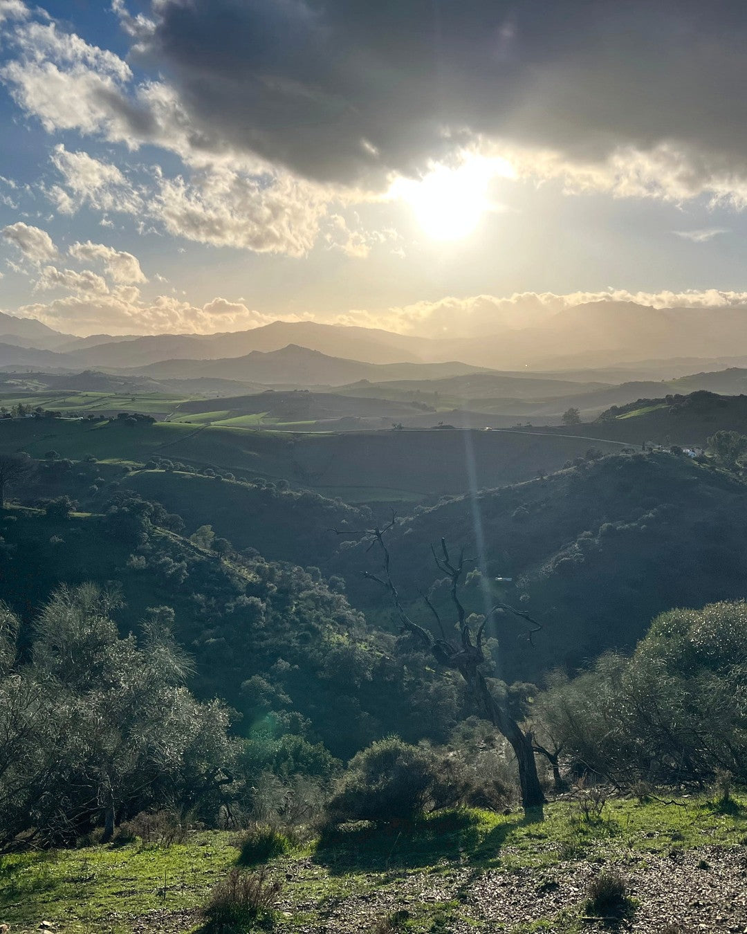 Intensive Therapy Retreat in Spain